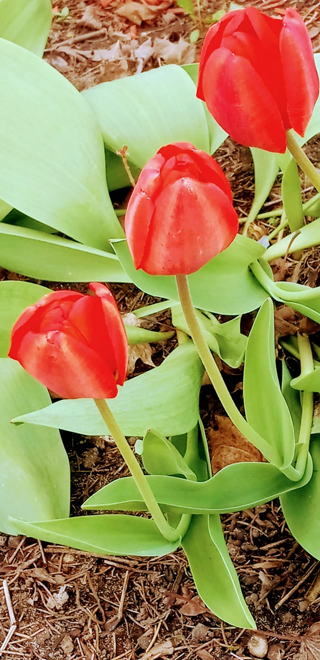 membership-fees-albany-wi-chamber-of-commerce